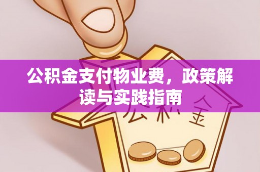 元江公积金支付物业费，政策解读与实践指南