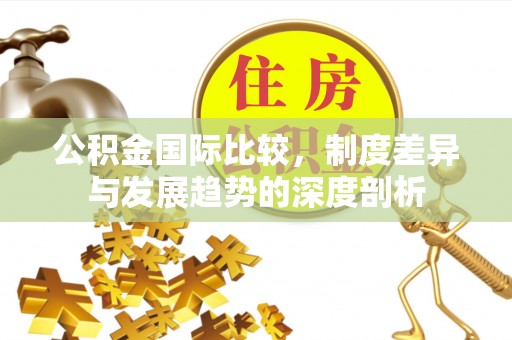 元江公积金国际比较，制度差异与发展趋势的深度剖析
