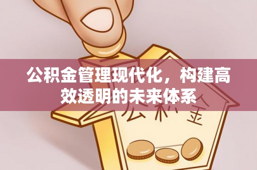 元江公积金管理现代化，构建高效透明的未来体系