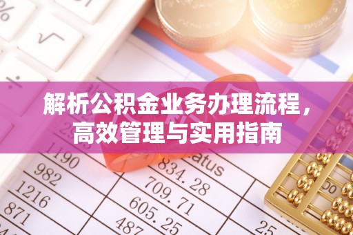 元江解析公积金业务办理流程，高效管理与实用指南
