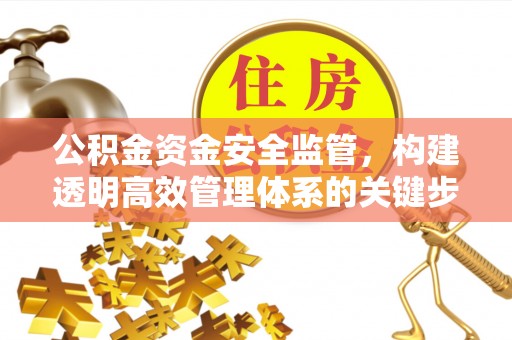 元江公积金资金安全监管，构建透明高效管理体系的关键步骤