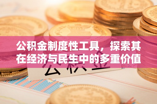 元江公积金制度性工具，探索其在经济与民生中的多重价值