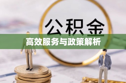 元江高效服务与政策解析