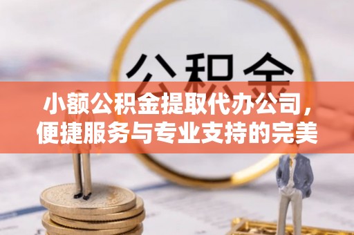 元江小额公积金提取代办公司，便捷服务与专业支持的完美结合
