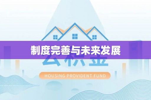 元江制度完善与未来发展