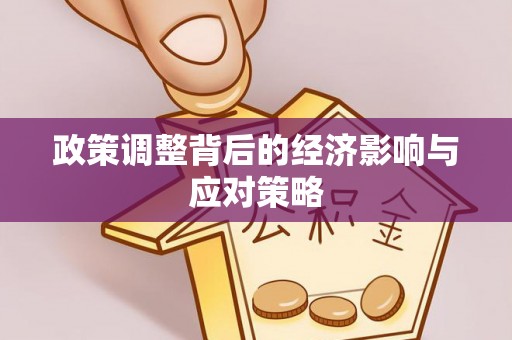元江政策调整背后的经济影响与应对策略