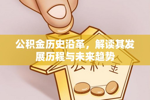 元江公积金历史沿革，解读其发展历程与未来趋势
