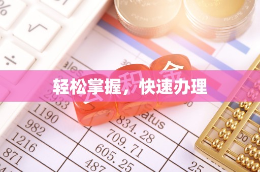 元江轻松掌握，快速办理