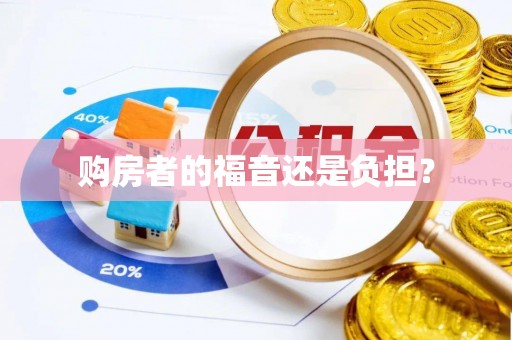 元江购房者的福音还是负担？