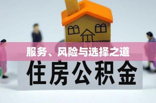 元江服务、风险与选择之道