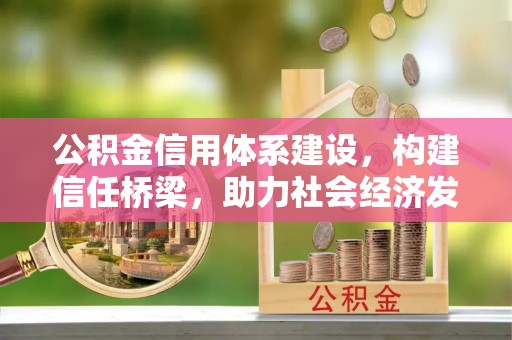 元江公积金信用体系建设，构建信任桥梁，助力社会经济发展