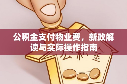元江公积金支付物业费，新政解读与实际操作指南
