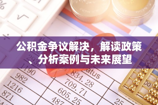 元江公积金争议解决，解读政策、分析案例与未来展望