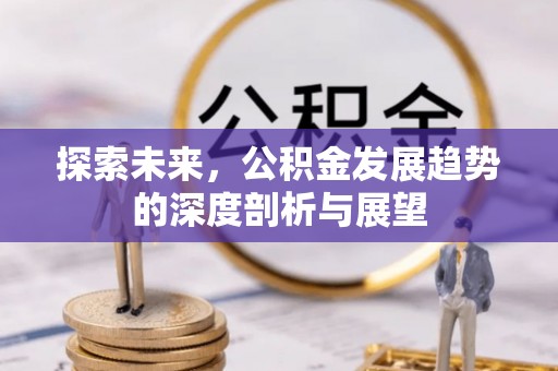 元江探索未来，公积金发展趋势的深度剖析与展望