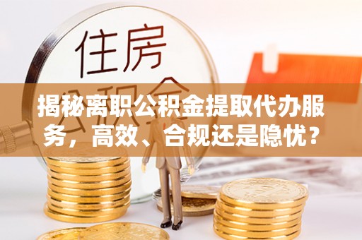元江揭秘离职公积金提取代办服务，高效、合规还是隐忧？