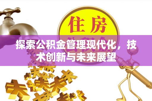 元江探索公积金管理现代化，技术创新与未来展望