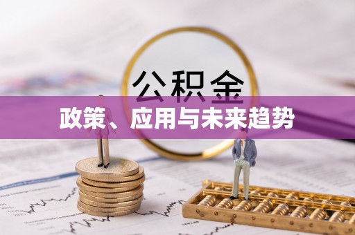 元江政策、应用与未来趋势