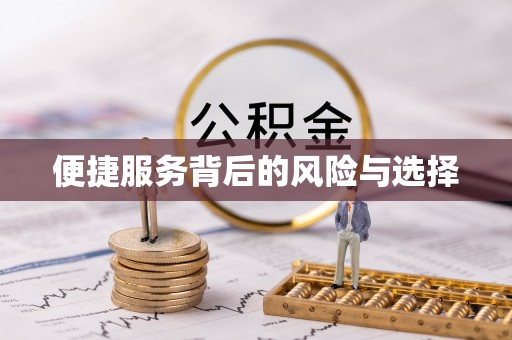 元江便捷服务背后的风险与选择