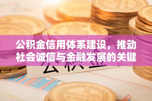 元江公积金信用体系建设，推动社会诚信与金融发展的关键桥梁