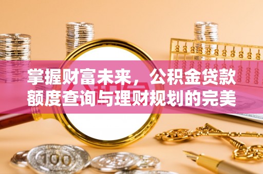 元江掌握财富未来，公积金贷款额度查询与理财规划的完美结合