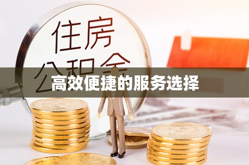 元江高效便捷的服务选择