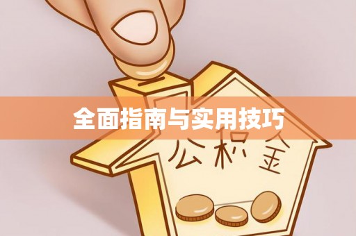 元江全面指南与实用技巧