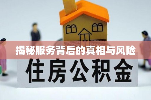 元江揭秘服务背后的真相与风险